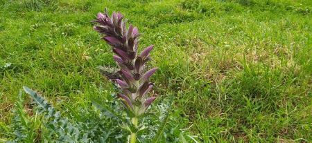 حالة الطقس هذا اليوم